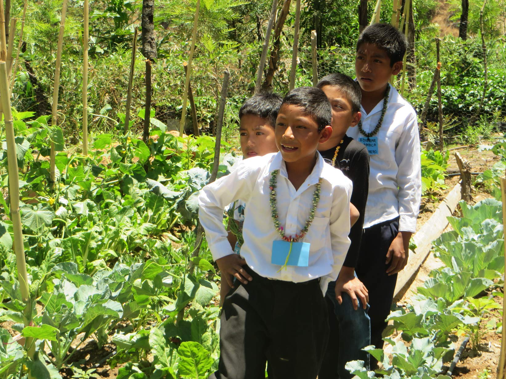 Guatemala-Huertos escolares